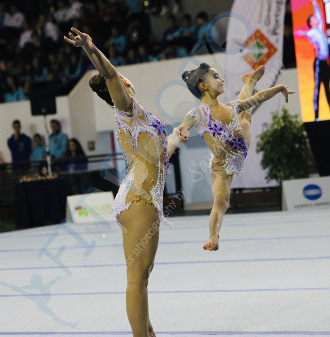Sofia Dias Coelho Teixeira Lopes
