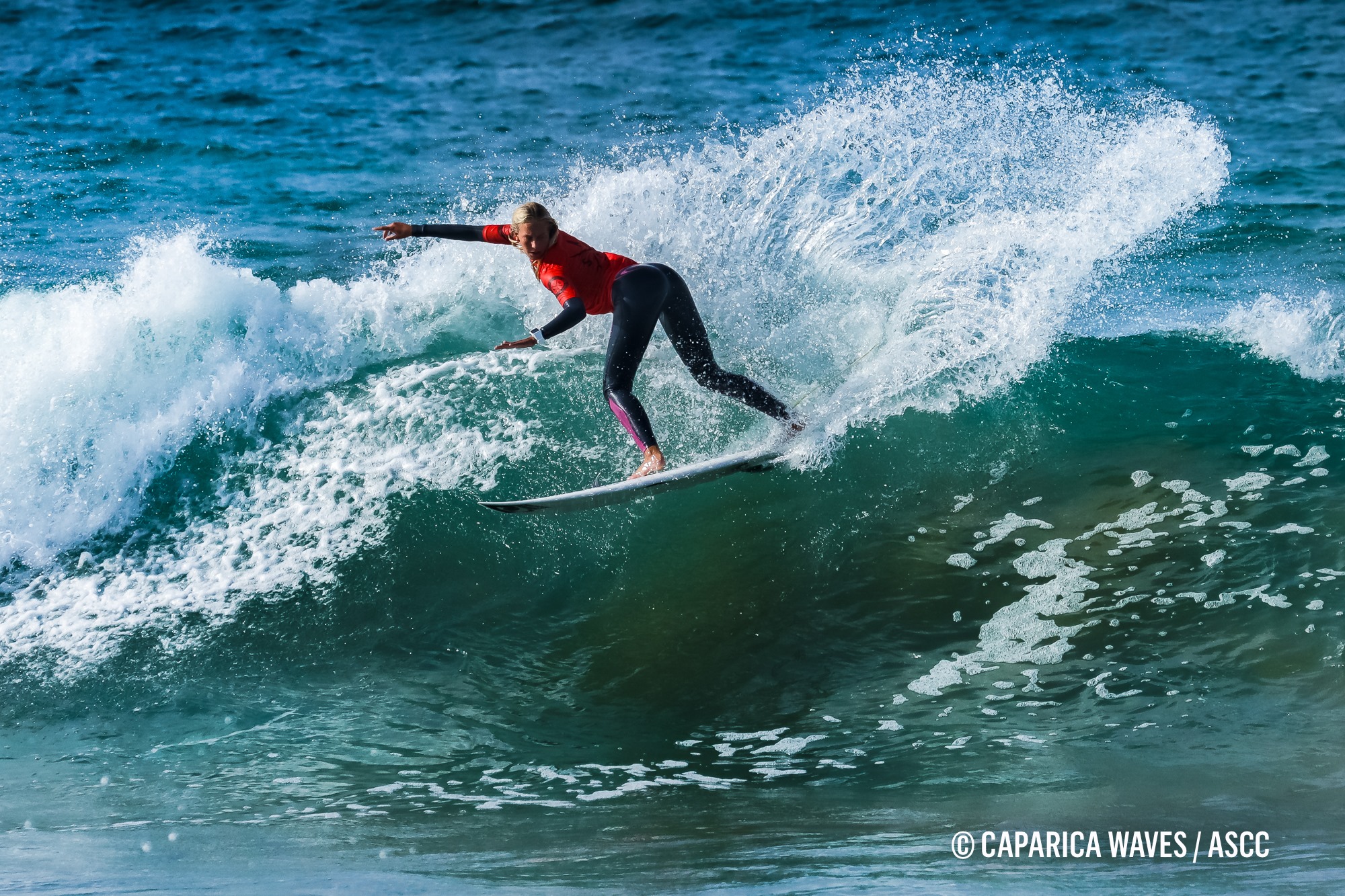 Beatriz Guedes de Carvalho